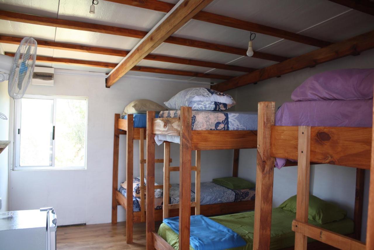 Posada Hostel La Piedra Mistica 拉佩德雷拉 外观 照片