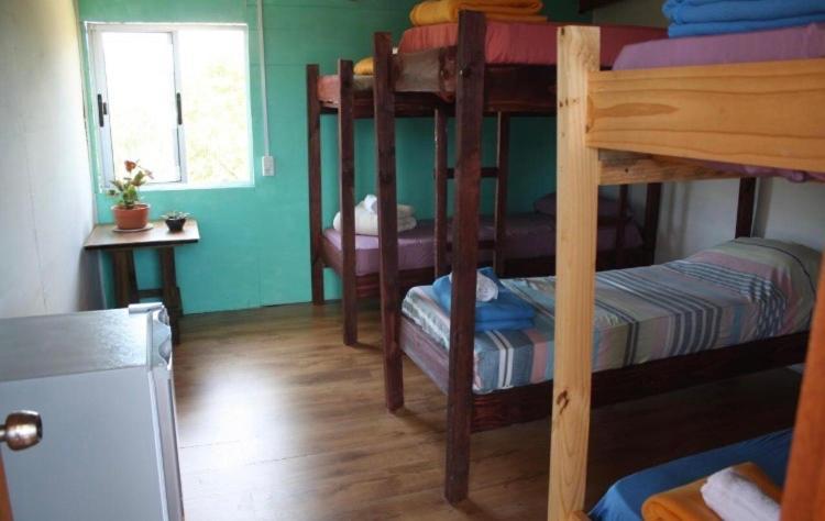 Posada Hostel La Piedra Mistica 拉佩德雷拉 外观 照片